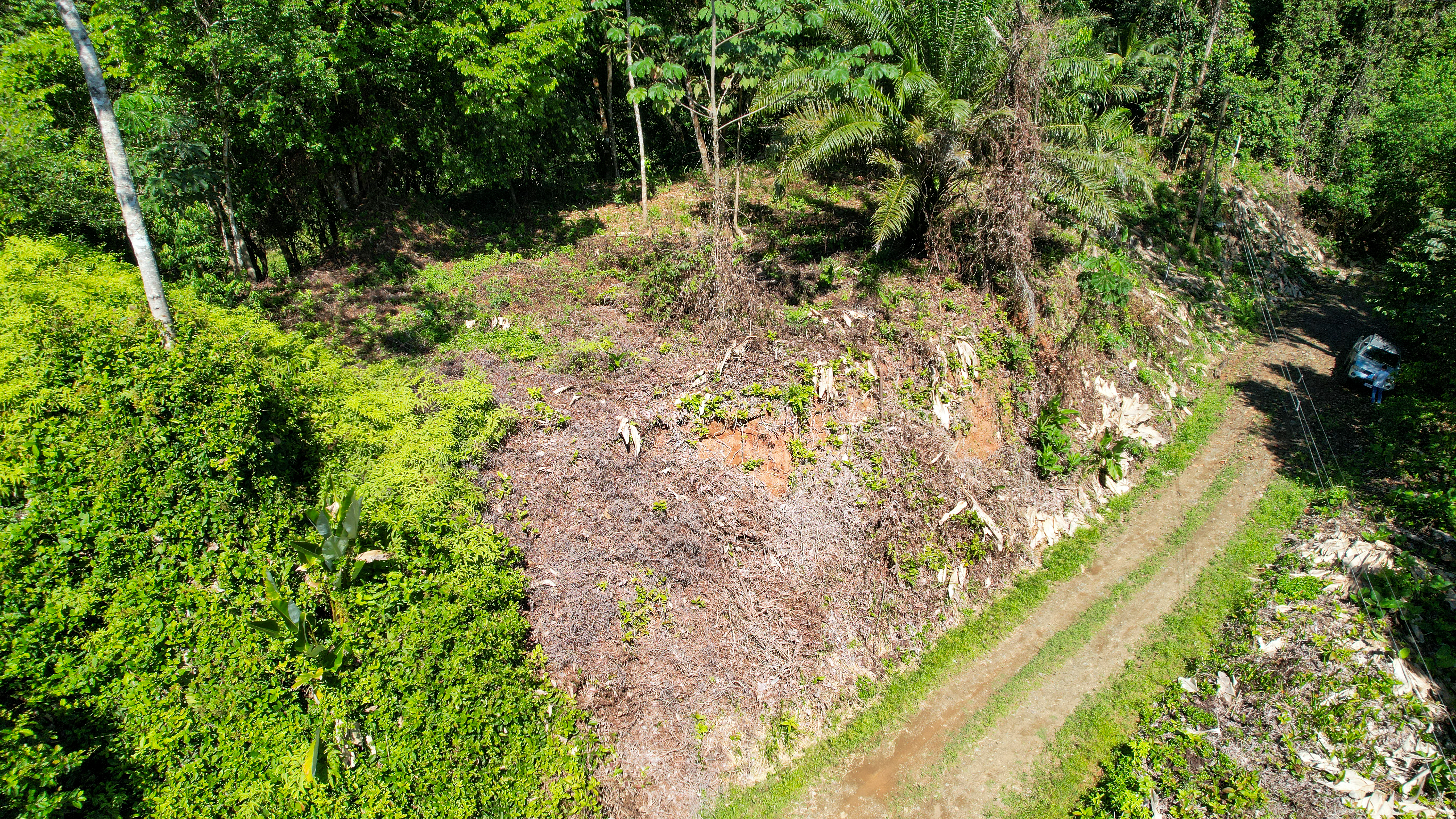 Tucked-Away Jungle Lot at the End of a Quiet Road — Ojochal, Costa Rica selected