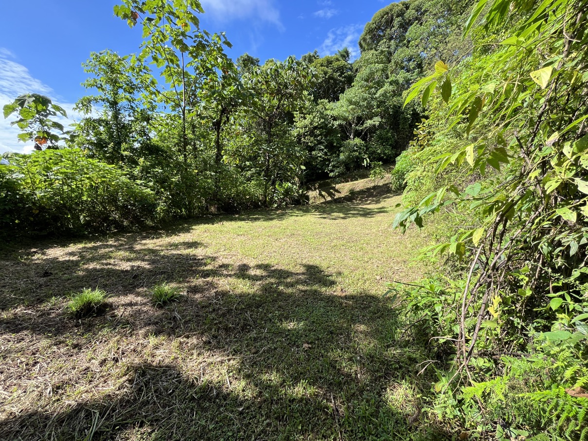 Charming Mountain Retreat in Vergel de Osa – Minutes from Ojochal, Beaches, and Waterfalls selected