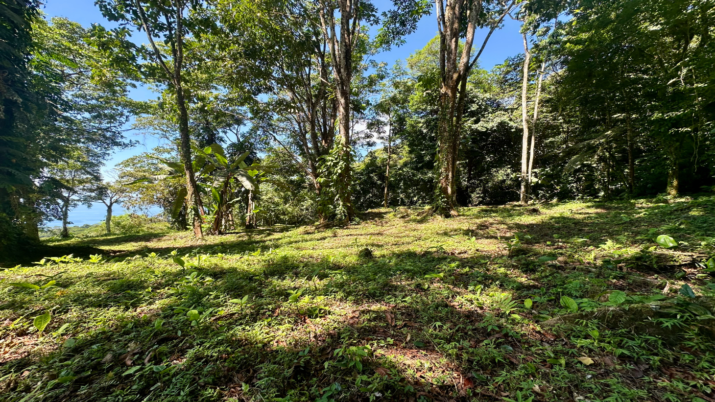 Exclusive 5.80 acres Ocean View Estate Lot in Costa Verde Estates – Escaleras selected