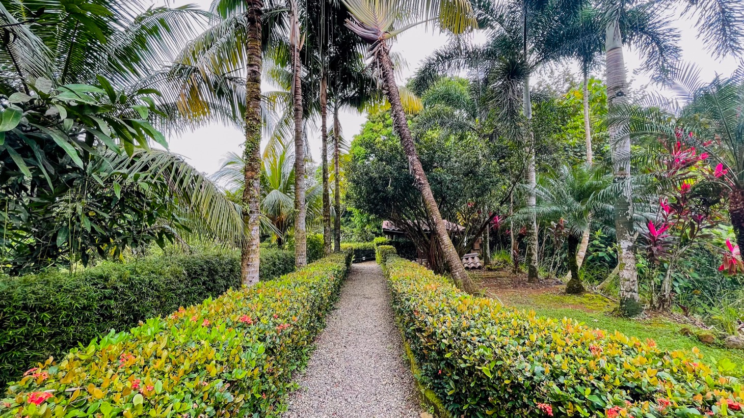 Costa Rica Jungle Home with Pool for Sale in Ojochal selected