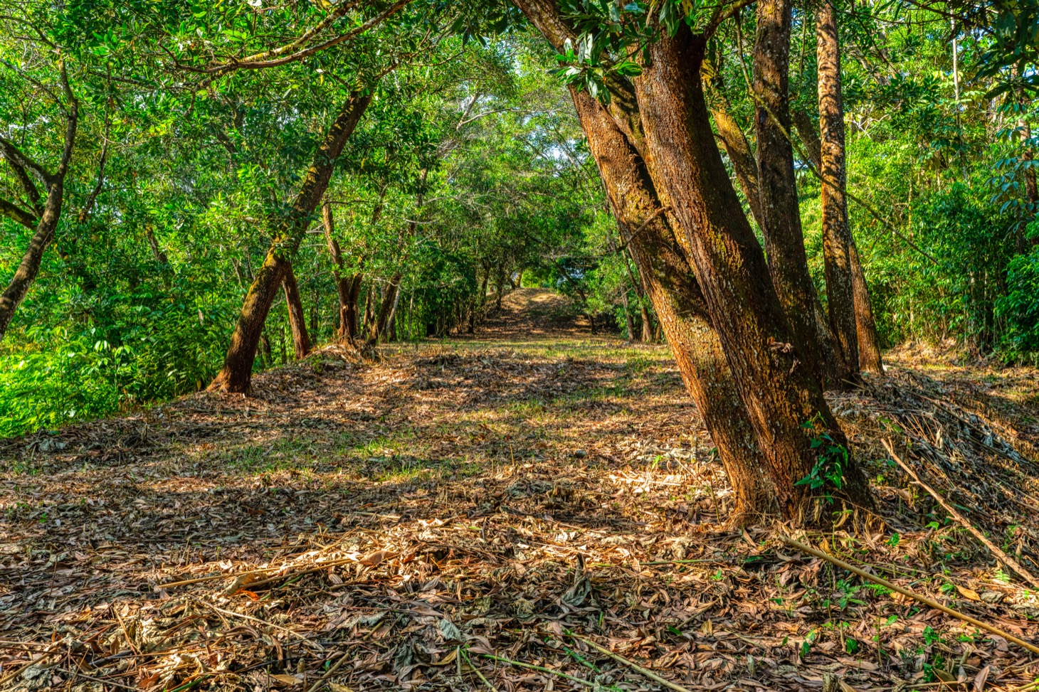 Ocean-View Property with Prime Location and Development Potential in Uvita selected