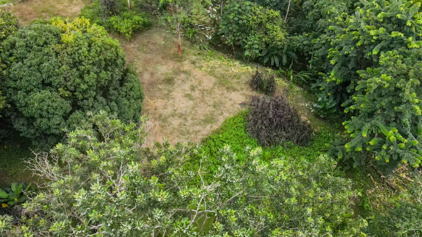 Riverfront Property for Sale in Ojochal, Costa Rica – Nearly 1 Hectare of Flat, Buildable Land selected