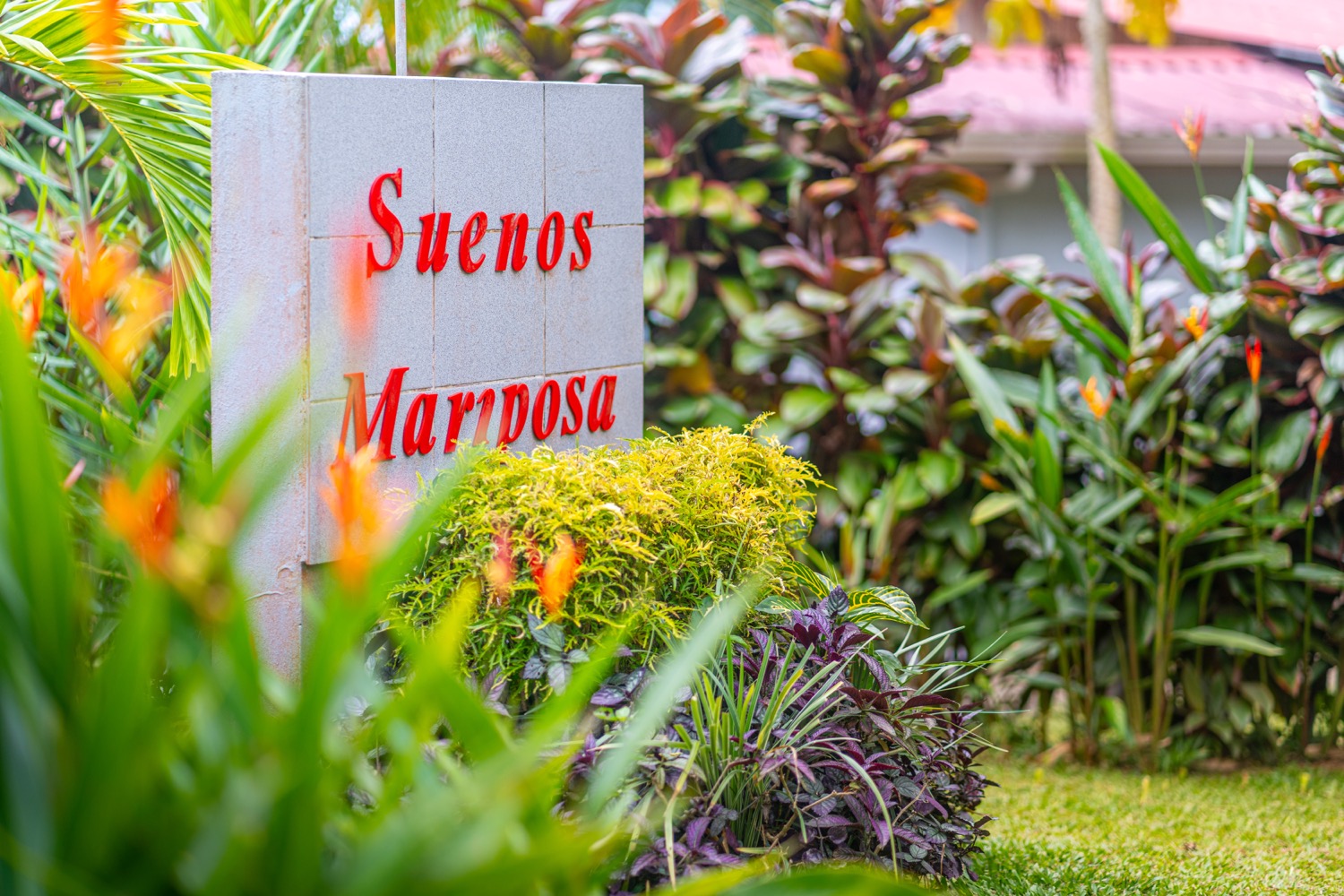 Boutique Jungle Retreat with Panoramic Mountain Views in the Hills of Lagunas selected