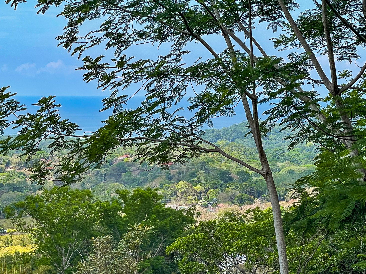 Excellent Dream Home Or Mini-Development Opportunity: 2.2-Acre Ocean View Property in Ojochal, Costa Rica selected