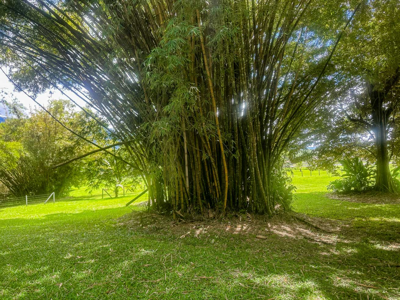 3.7-Acre Airport-Adjacent Property with Direct Runway Access, Prime Zoning, and Mountain Views selected