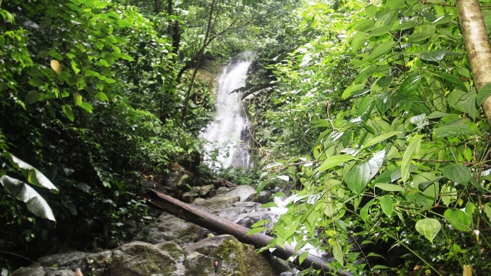 Beautiful 72 Acre Farm In Uvita With Waterfalls And Ocean Views selected