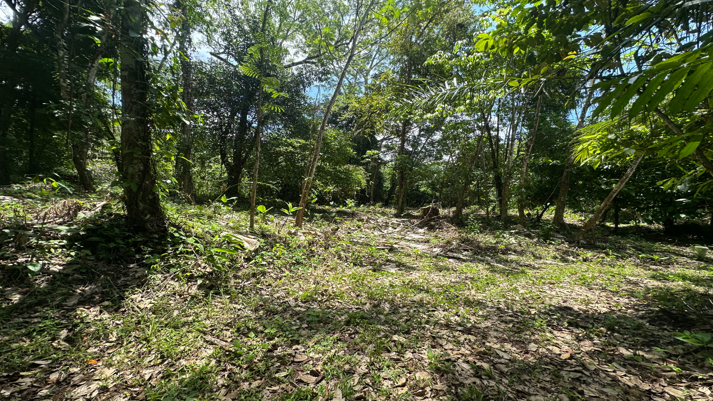 Ocean View Estate Lot with Private Waterfall – Uvita selected