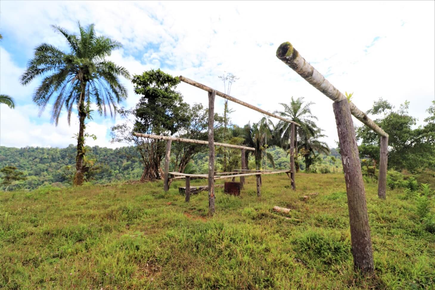 3 Spectacular Ocean View Farms in Uvita selected