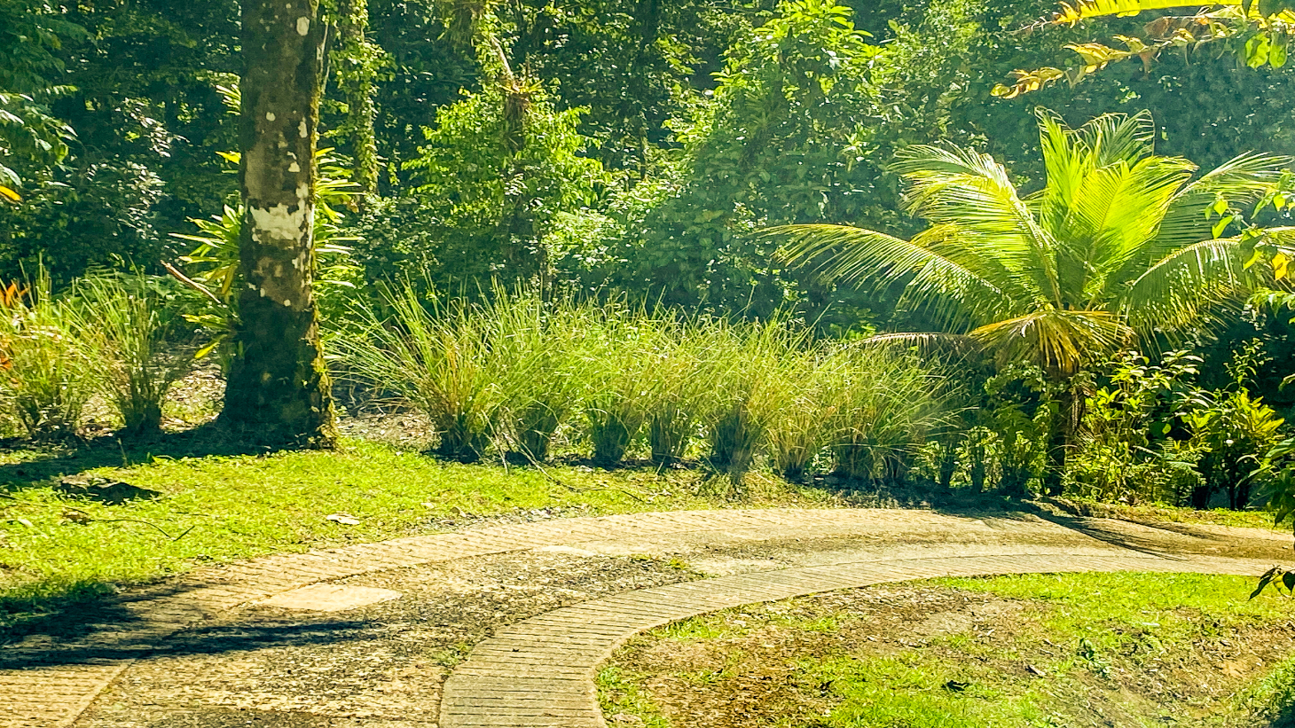 3 Bedroom Rainforest Home in Ojochal With River & Waterfall | 3.5 Acres Private selected