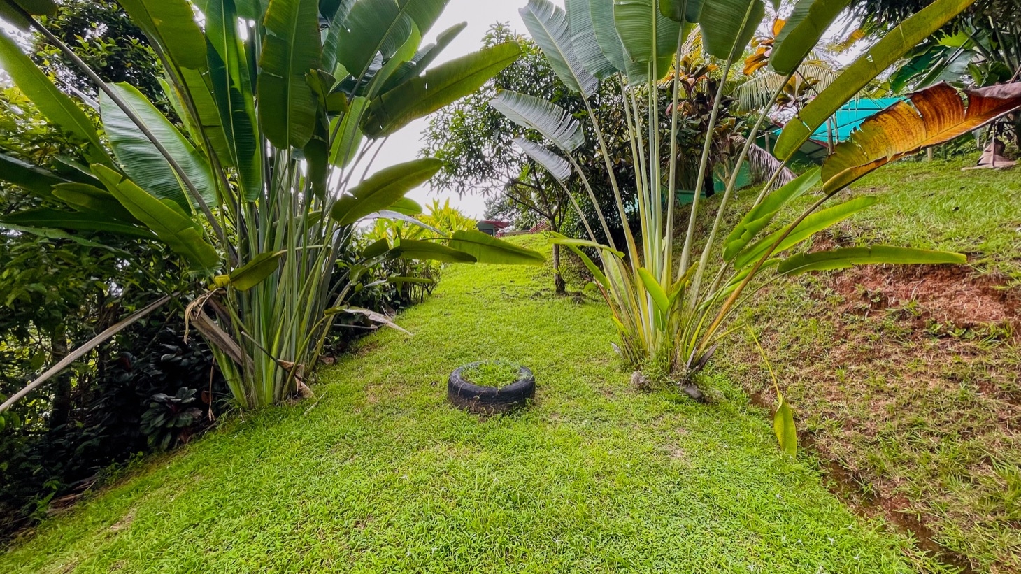 Two Homes on 1.55 Acres with Ocean & Mountain Views – Plus Room to Build! selected