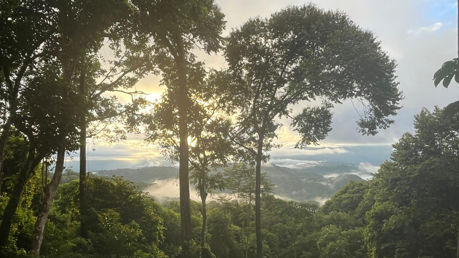 Rainforest Retreat with a Forested Setting and Good Rental History in Lagunas selected