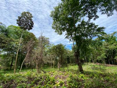 2.8-Acre Ready-To-Build Lot In Ojochal image 1