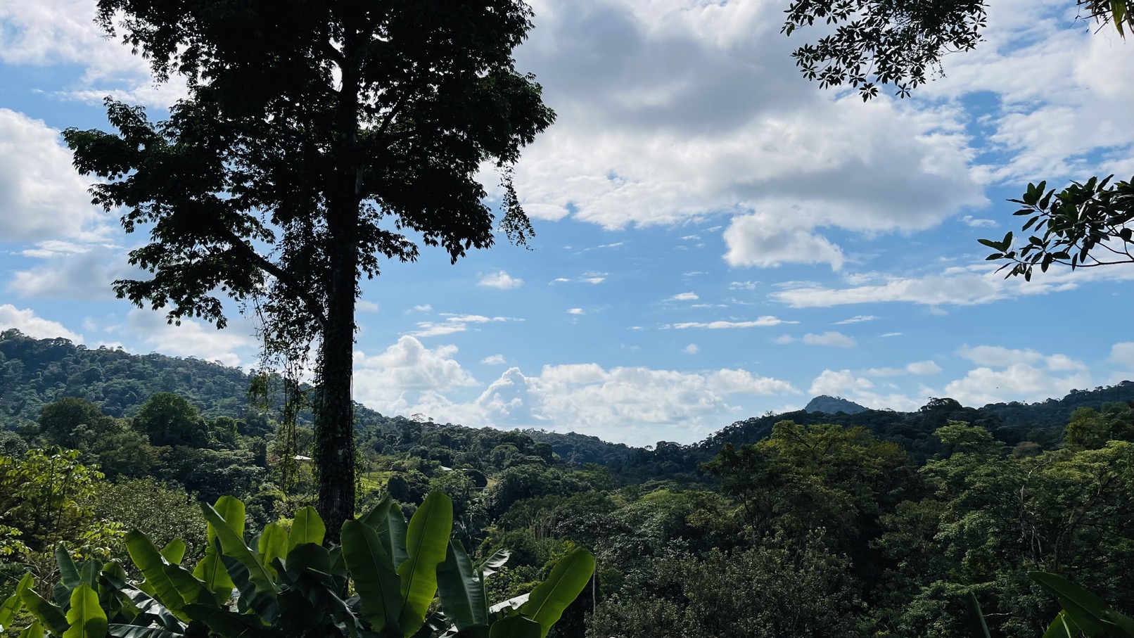 Brand New Modern Home in a Private Tropical Setting - Tres Rios selected