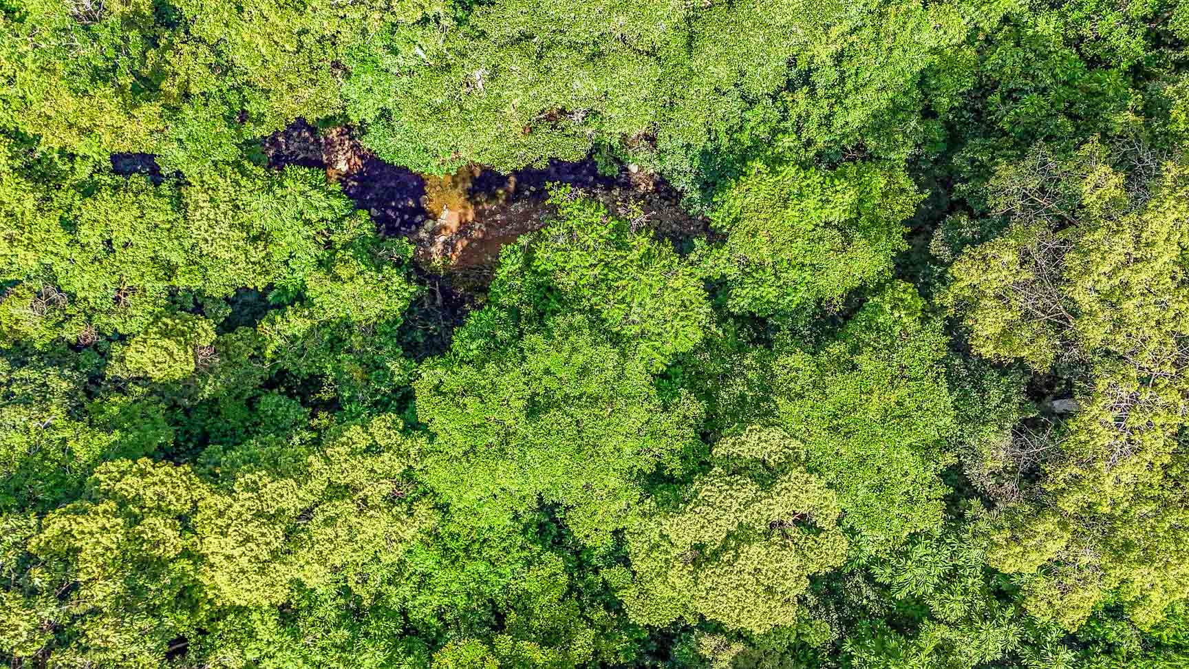 Wonderful Jungle Lot with a Crystal Mountain River Border in Ojochal selected