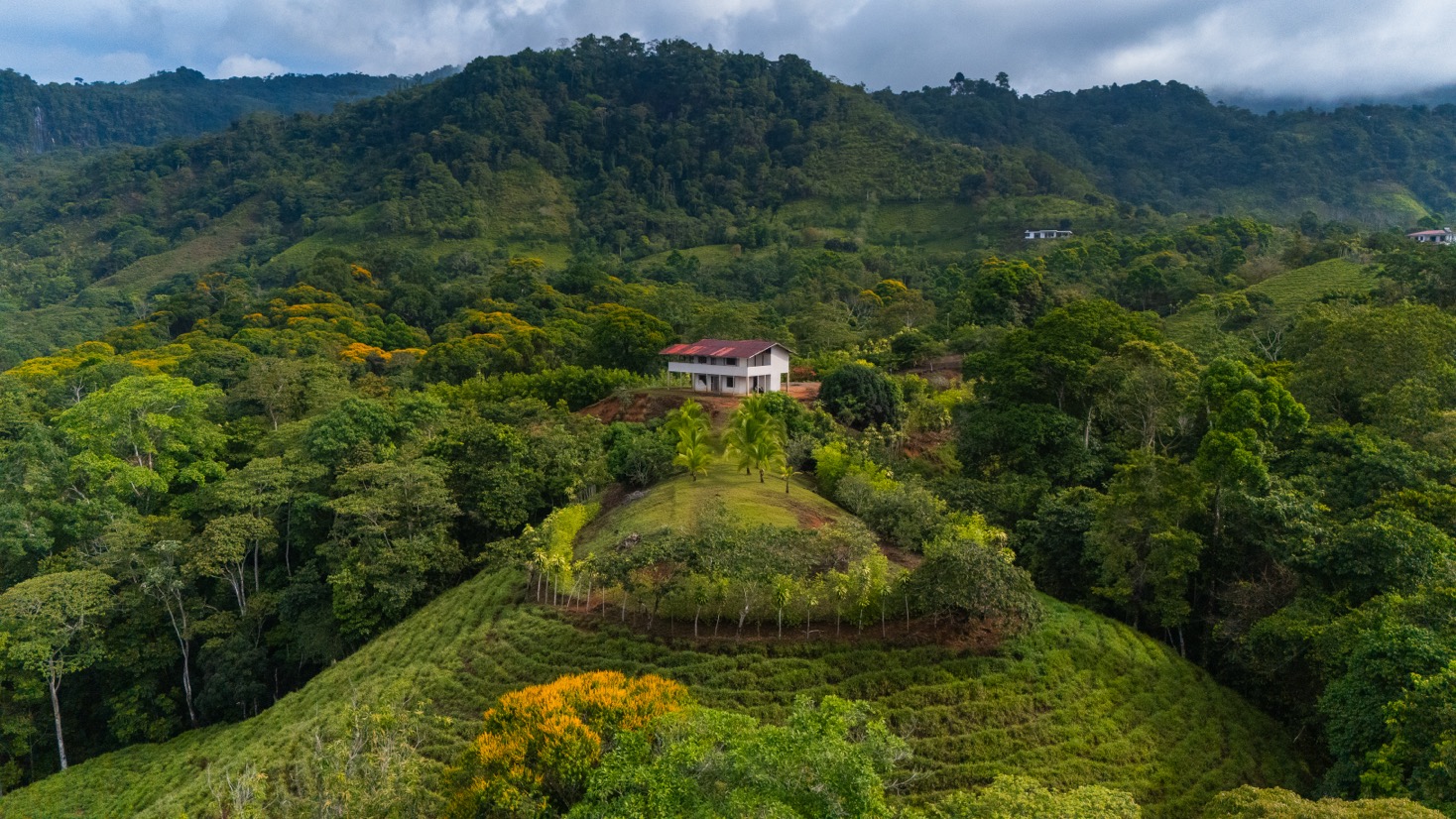Ocean View Development Property with Waterfall Vista — 14.83 Acres in San Luis de Morete, Near Uvita selected