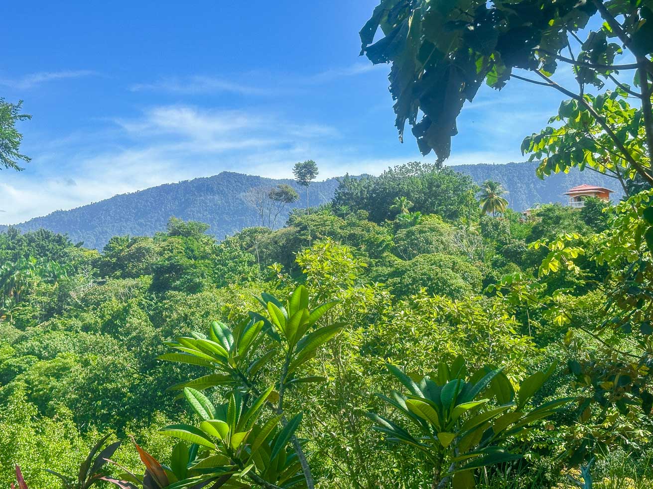 Ocean and Mountain View Retreat with Private River and Expansion Potential in Ojochal selected