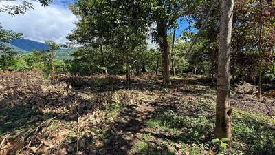 Easy-Access Building lot with Paved Road Access & All Utilities Available on a Flat Half-Acre in Ojochal Costa Rica image 2