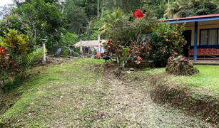 2.9 ACRES – Tons of Fruit Trees, 3 Bedroom Tico Home Plus Bodega In Tinamastes selected