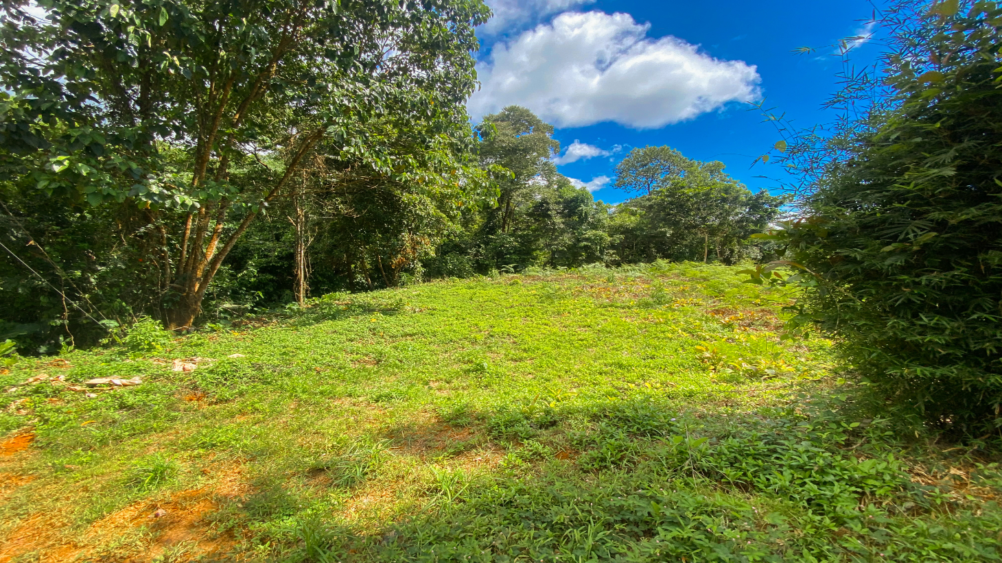 Jungle Lot for Sale in Ojochal With River & Waterfall selected