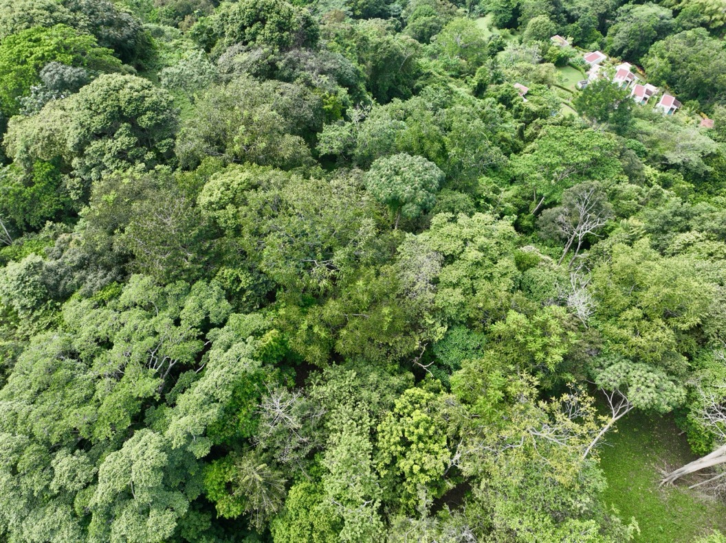 61.78 Acres of Oceanview Bliss with Private Waterfall in Tres Rios selected