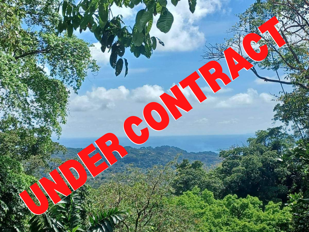 2 Acre Ocean View Property With A Wood Cabin In Ojochal