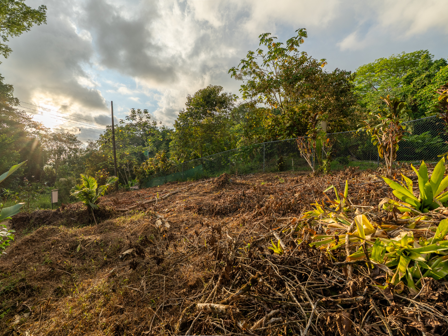 Ocean & Sunset View Lot for Sale in Ojochal, Costa Rica selected
