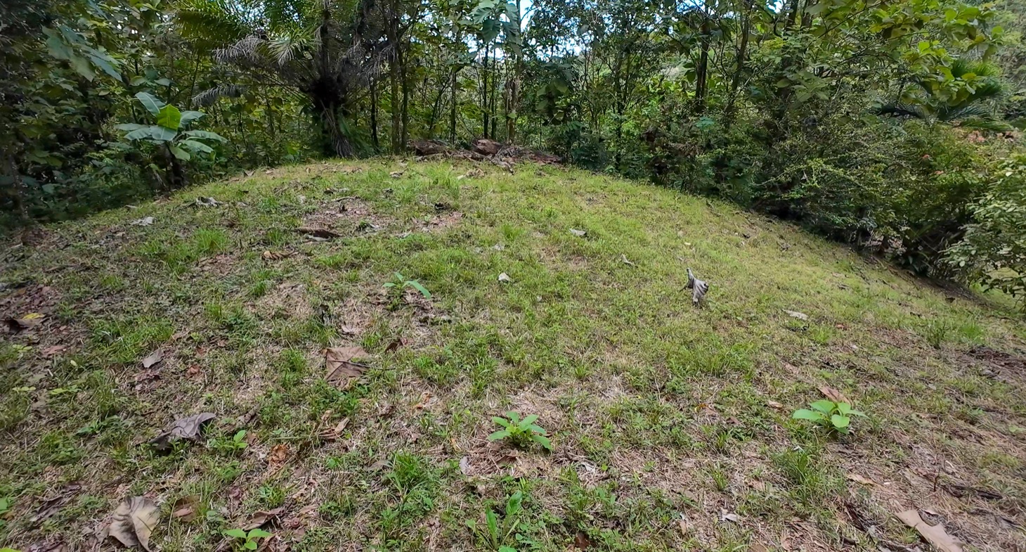 Stunning 16 acre Ocean View Property San Buenas, Costa Rica  selected