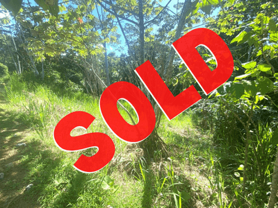 Exquisite Jungle Property in a Gated Community in Ojochal image 1