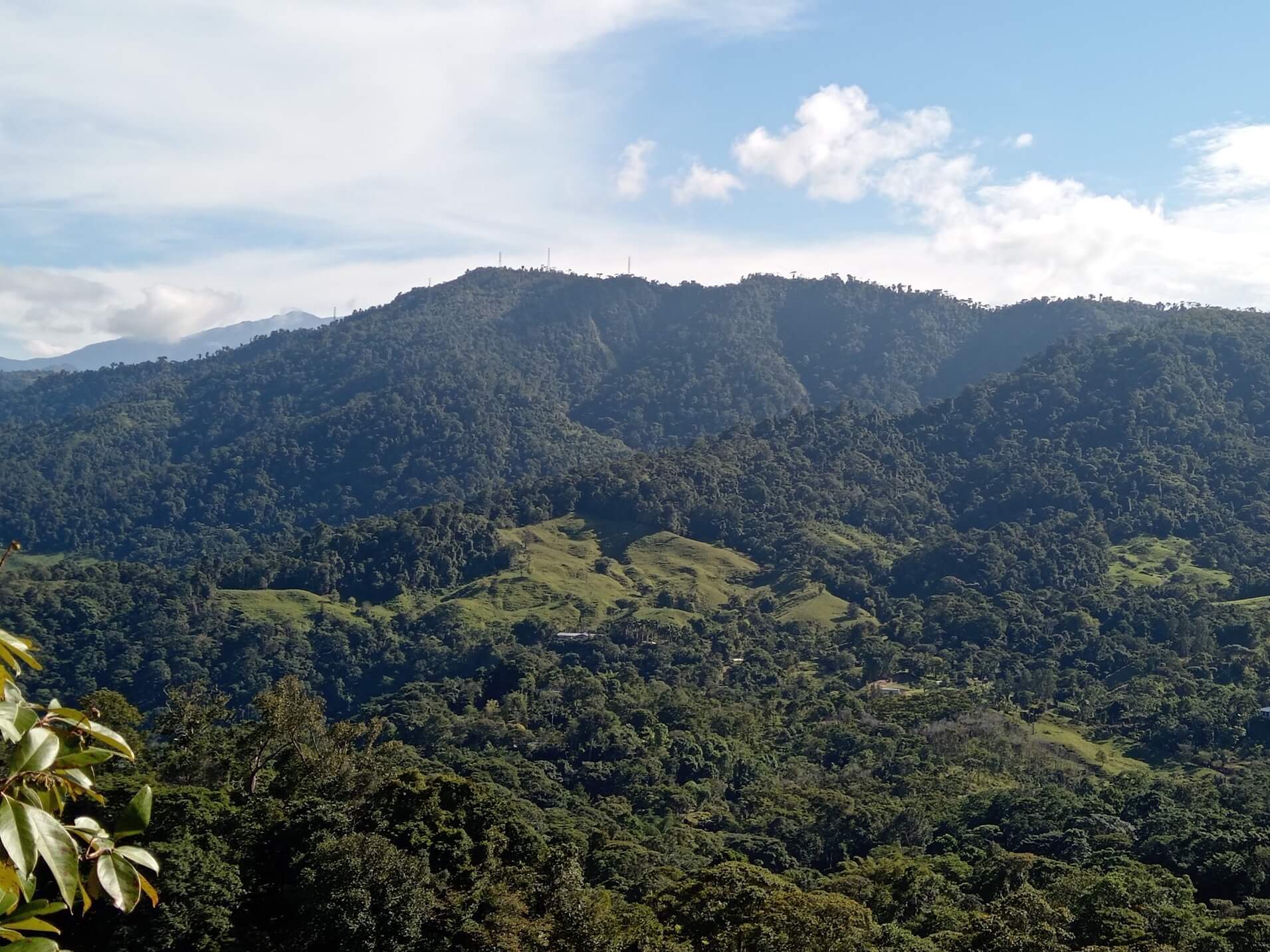 79Acre Farm In Tinamastes, Costa Rica