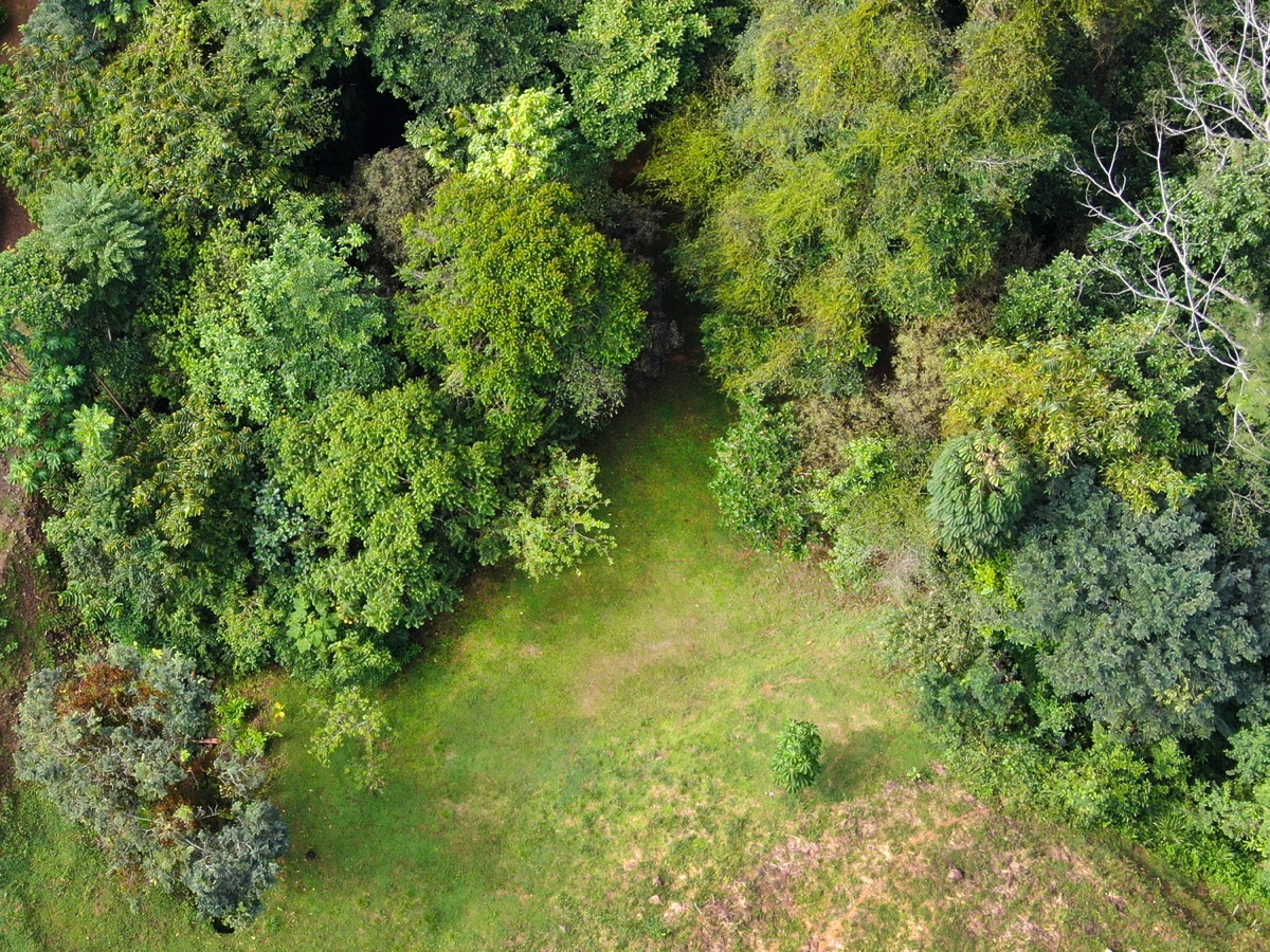 Residential Homesite with Flat Building Areas & Prime Access Near Uvita selected