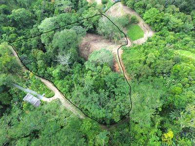 Private Jungle Sanctuary Land For Sale in Uvita, Costa Rica image 4