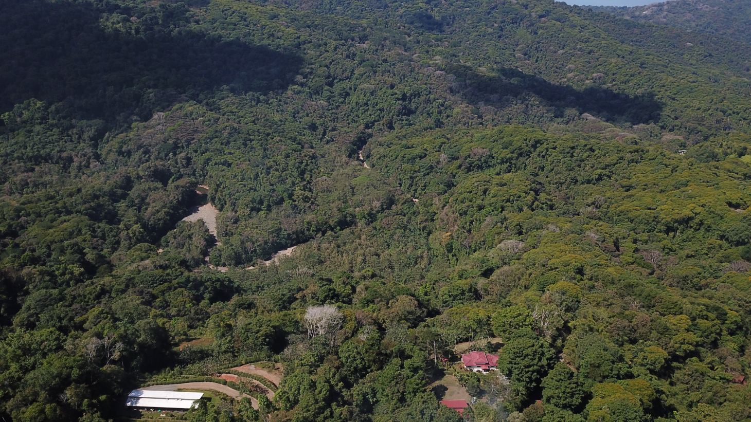 Build Ready Home Site with Easy Access in a Lush Rainforest Setting selected
