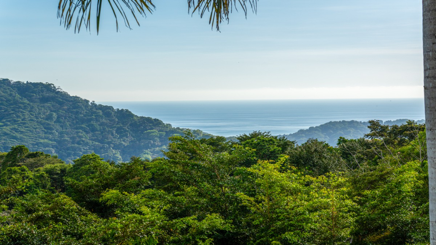 5.67 ACRES – 3 Bedroom Stunning Luxury Home Featuring Sweeping Valley & Ocean Views, Natural Wood Finishes & Sophisticated Design! selected