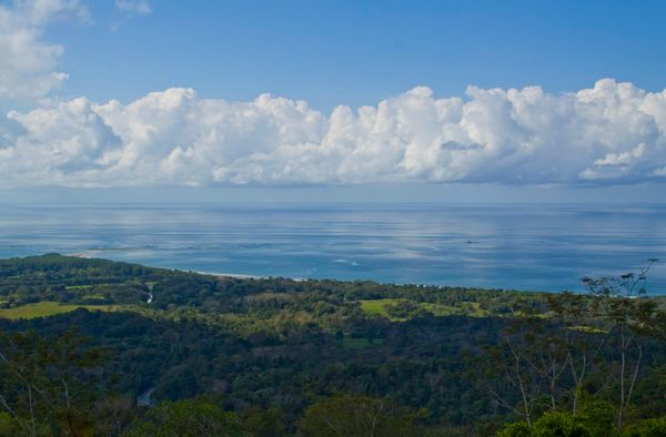 Paradise Found: The Southern Zone of Costa Rica