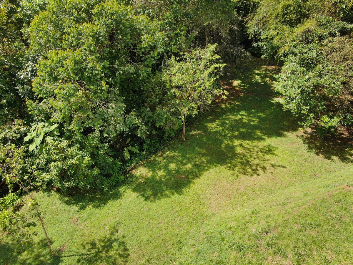 Residential Homesite with Flat Building Areas & Prime Access Near Uvita selected