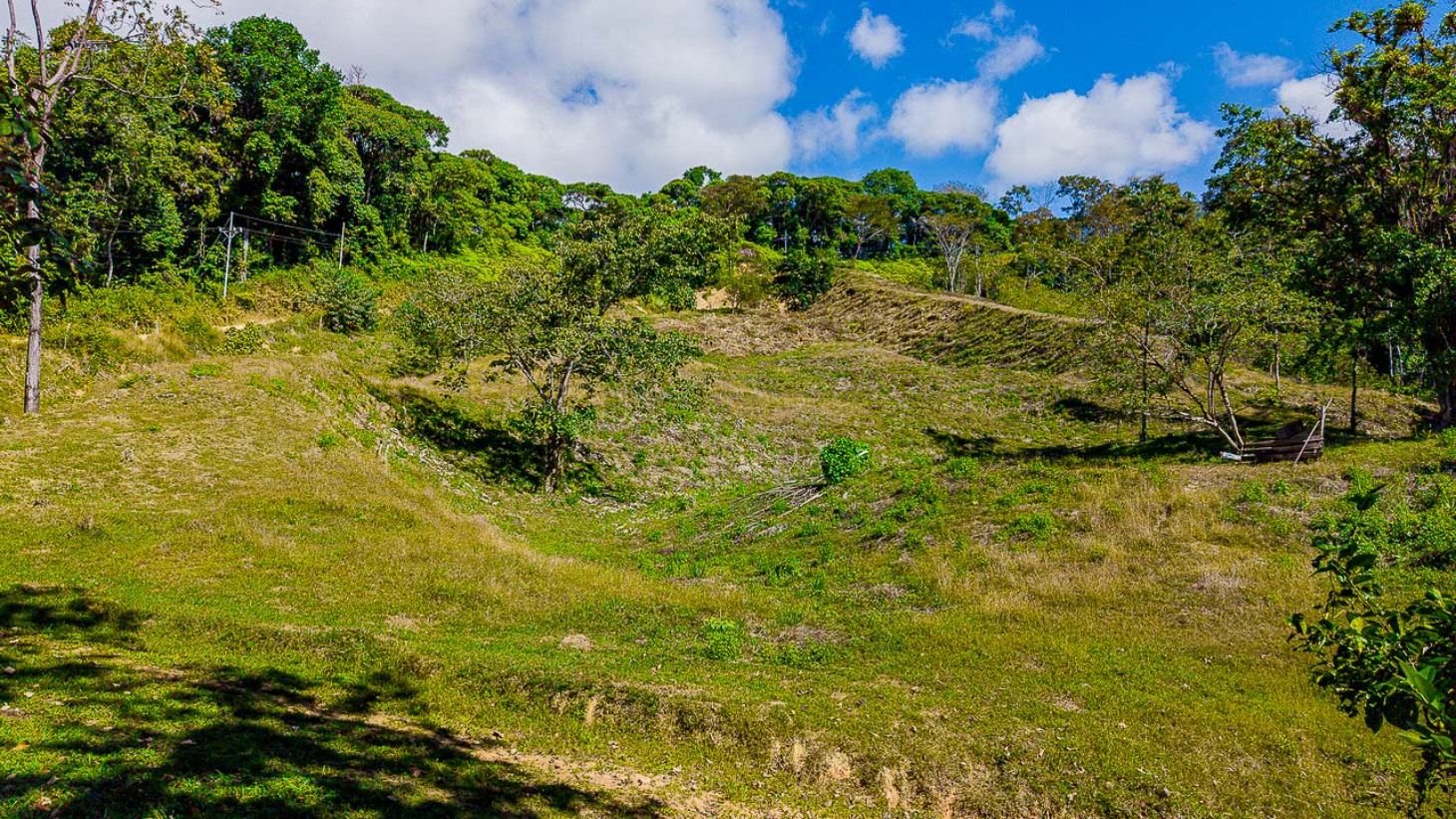 Whale Tail Views Luxury Waterfall Farm selected