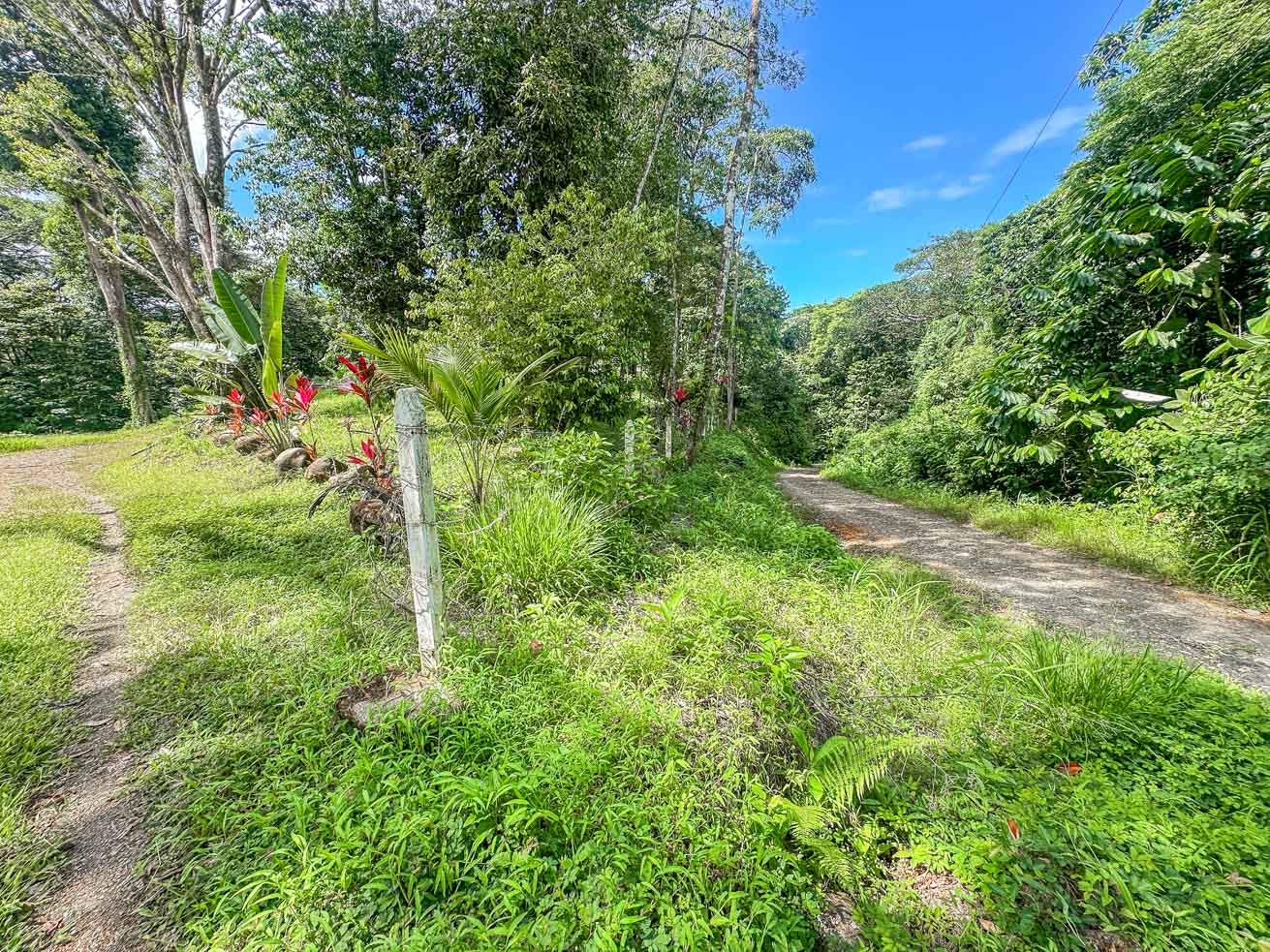 Wonderful Jungle Lot with a Crystal Mountain River Border in Ojochal selected