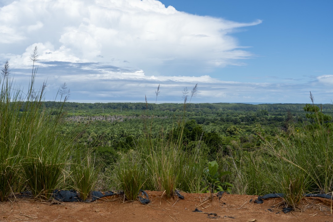 Tulpa Ridge – New Gated Ocean View Community in Matapalo selected