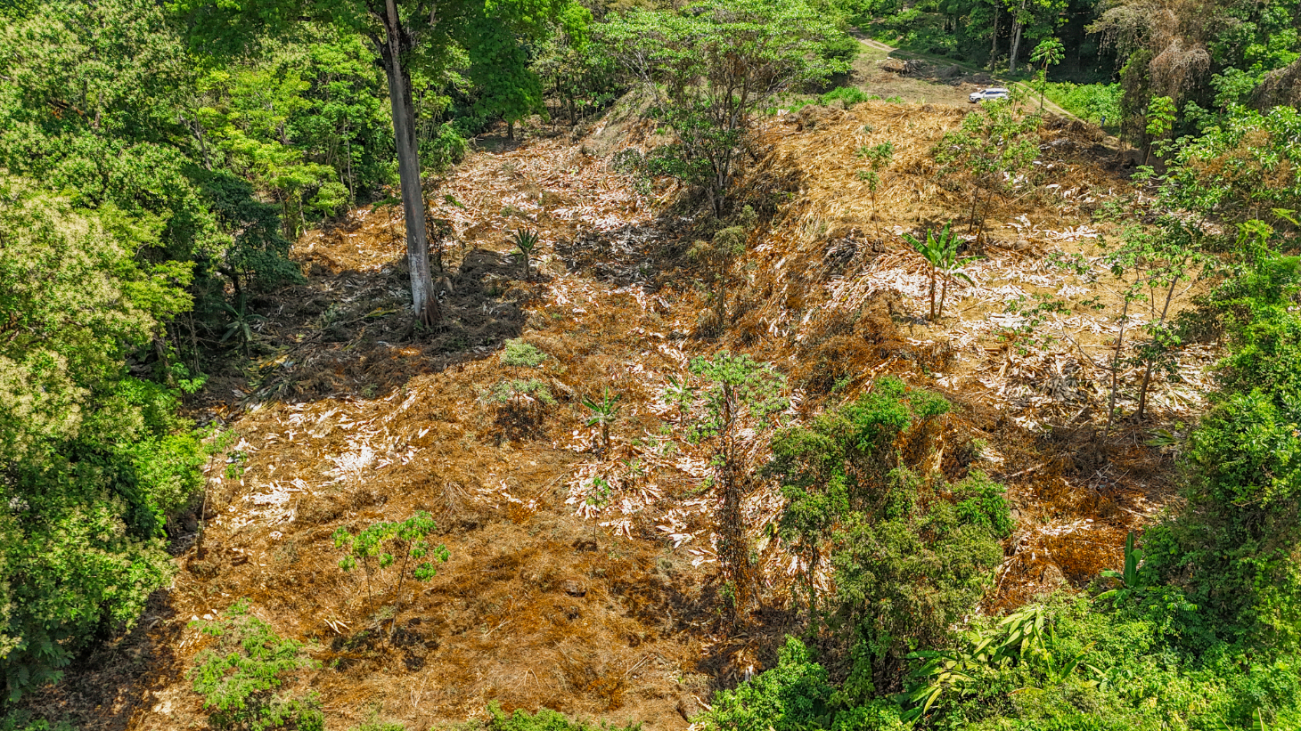 2.46 Acre Jungle Land for Sale in Ojochal with River Border selected