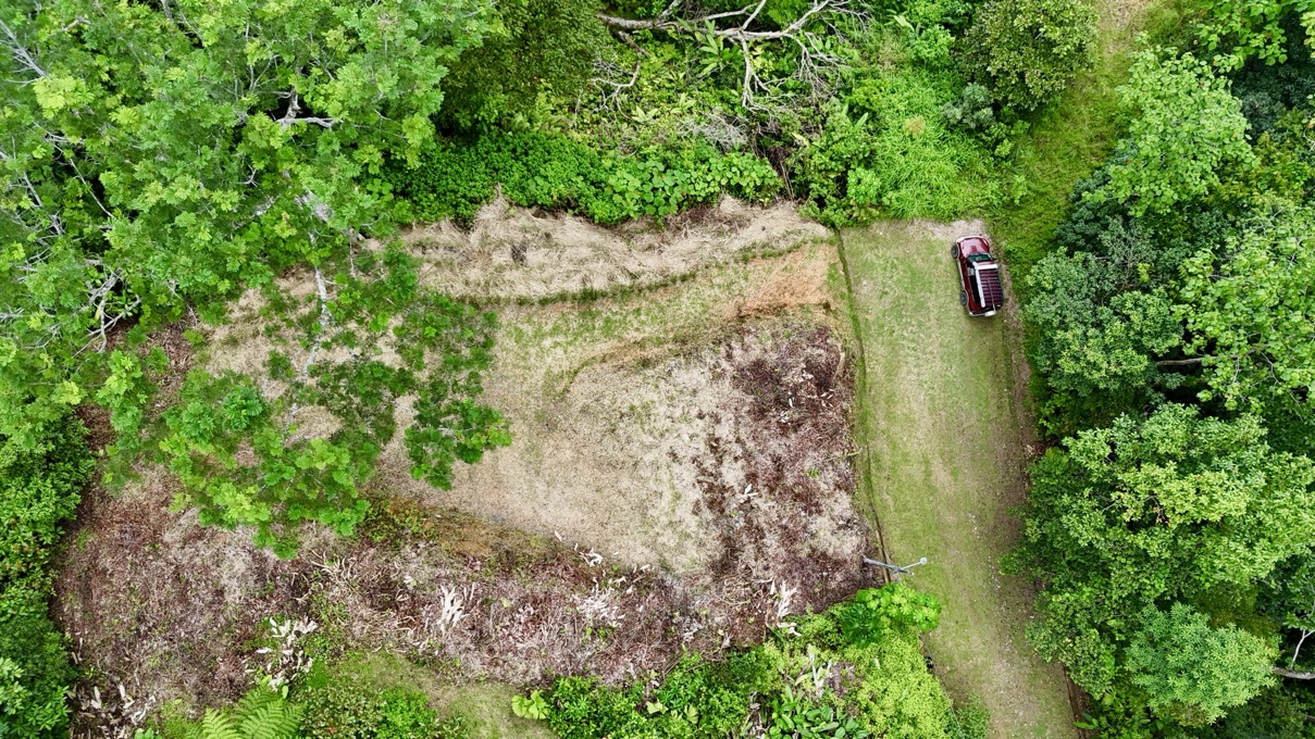 Affordable Jungle Lot in Gated Phase 9 Ojochal with Legal Water selected