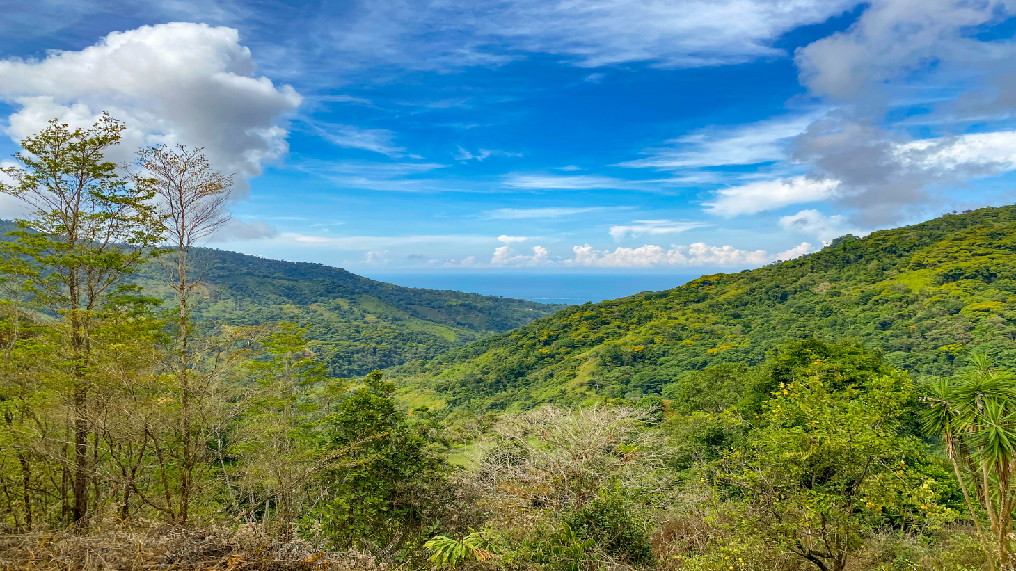1.5 Acre Ocean & Mountain View Lot Near Uvita | Legal Water & Privacy selected