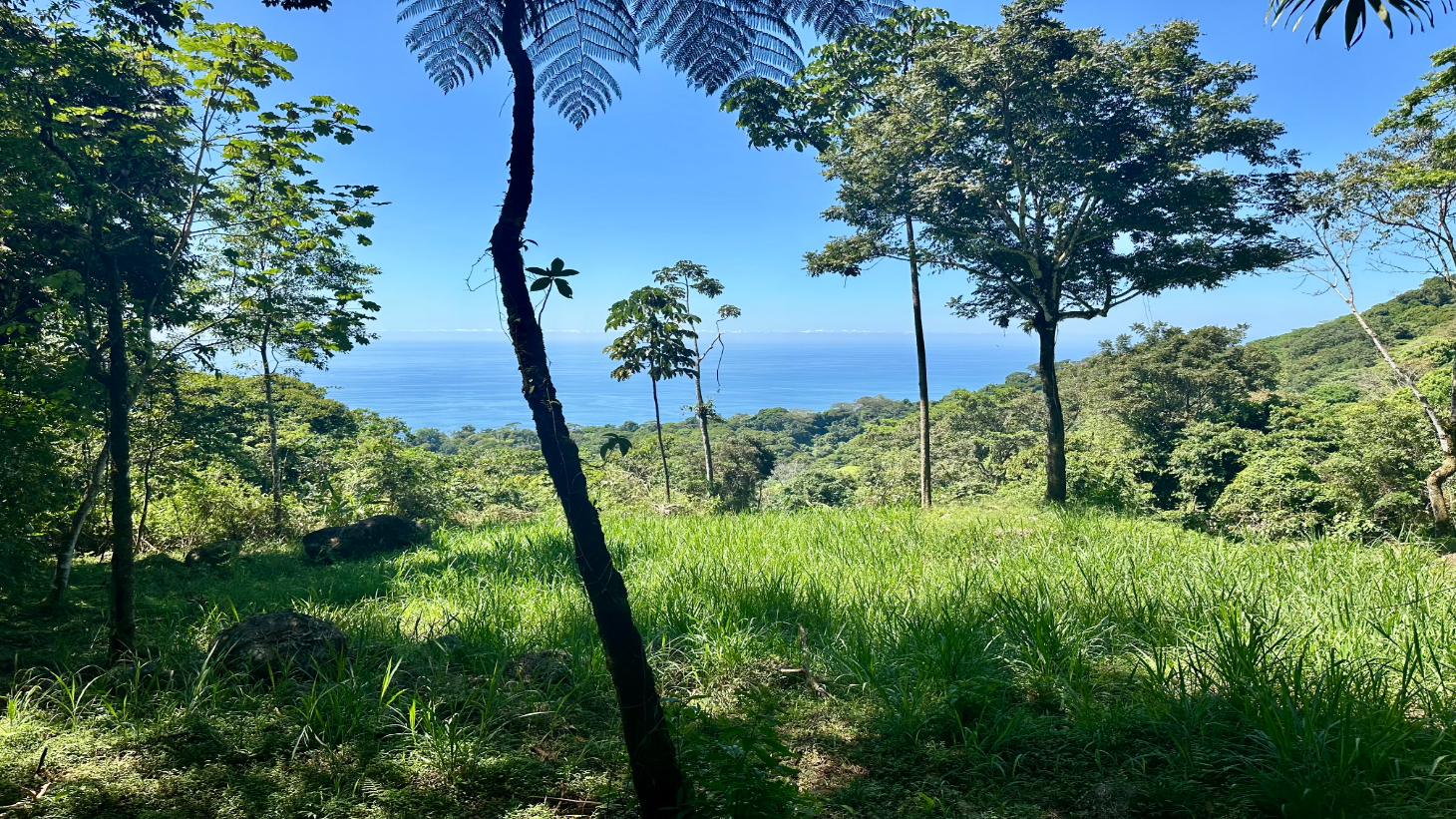 Exclusive 5.80 acres Ocean View Estate Lot in Costa Verde Estates – Escaleras selected