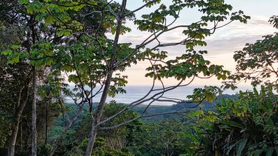 Private Modern Tropical Paradise Home For Sale in Ojochal, Costa Rica image 4