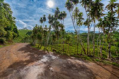 Ocean View Development Property with Waterfall Vista — 14.83 Acres in San Luis de Morete, Near Uvita image 3