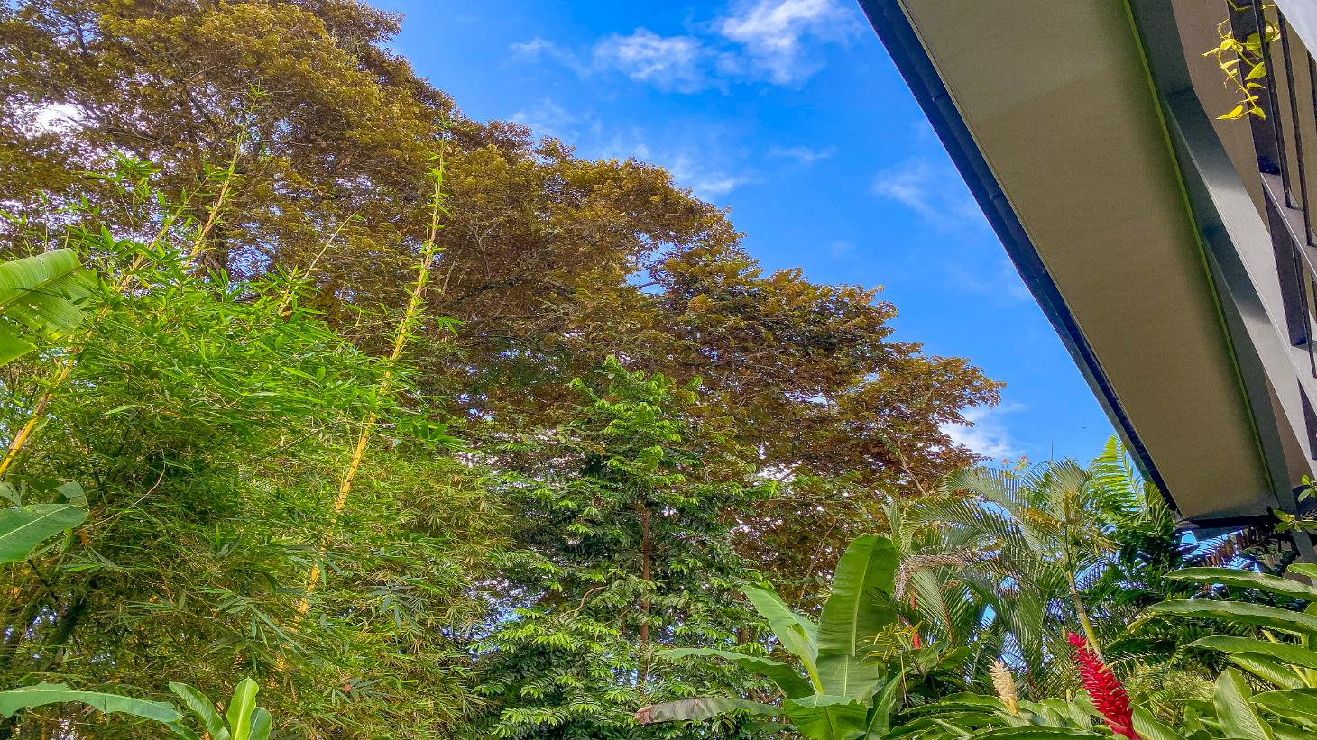 Tropical 4-Bedroom Home for Sale in Uvita | Pool & Airbnb Income selected