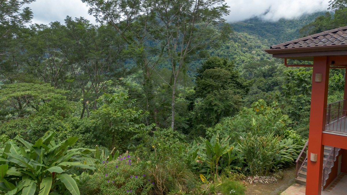 Tres Ríos Estate with Ocean Views, Move-In-Ready Casita, and Build-Ready Land selected