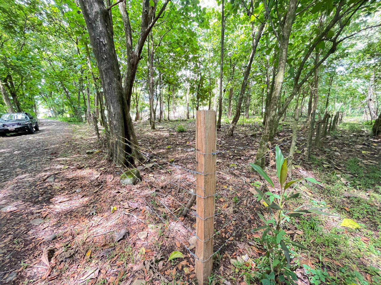 Prime 0.37-Acre Build-Ready Lot Steps from Marino Ballena National Park in Uvita selected