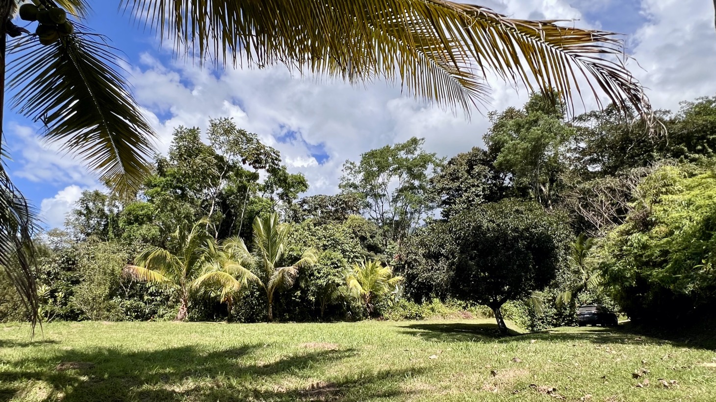 Exceptional Large Multi-Building Site Lot in Tres Ríos selected