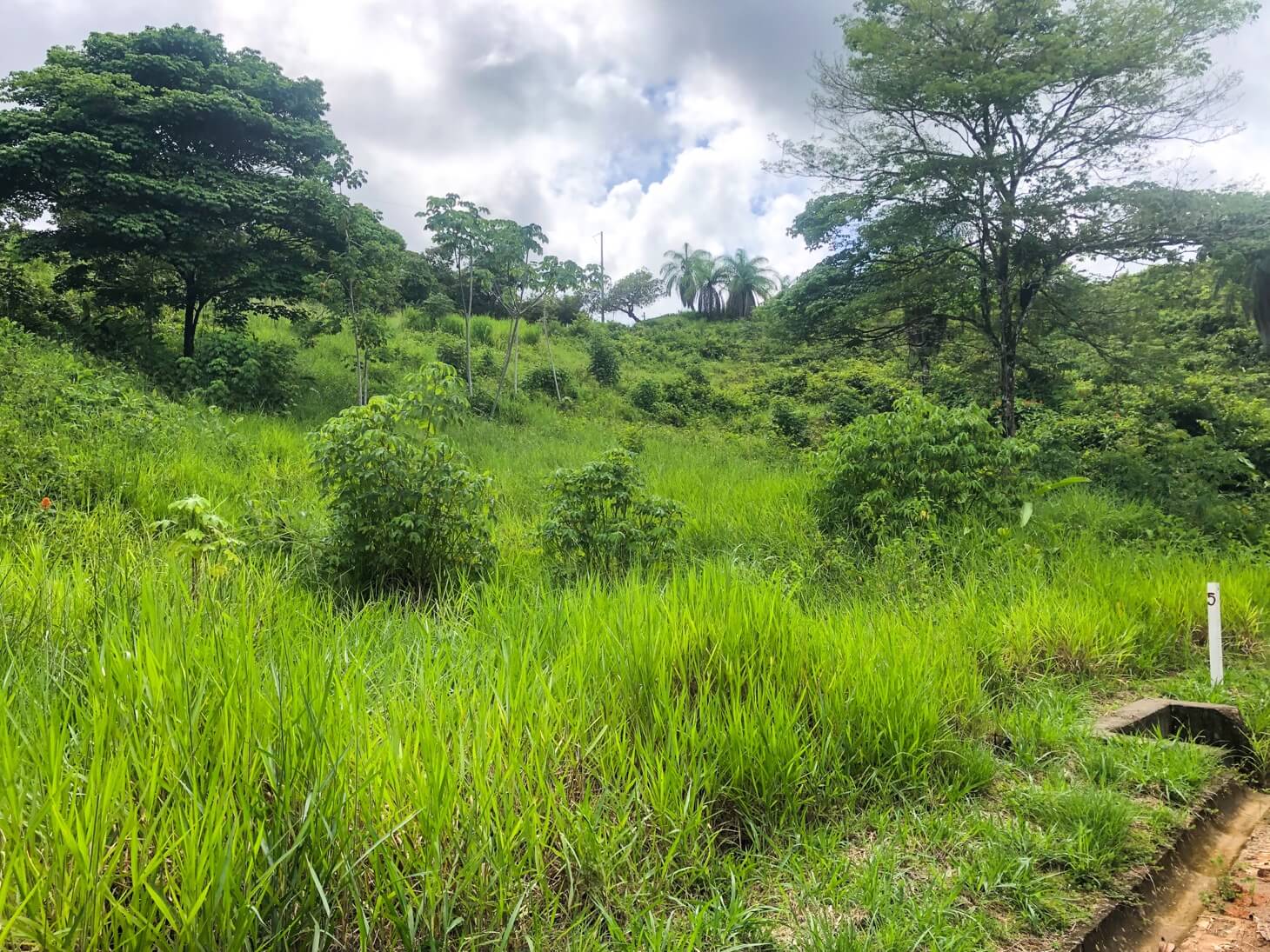 Affordable Building Lot selected