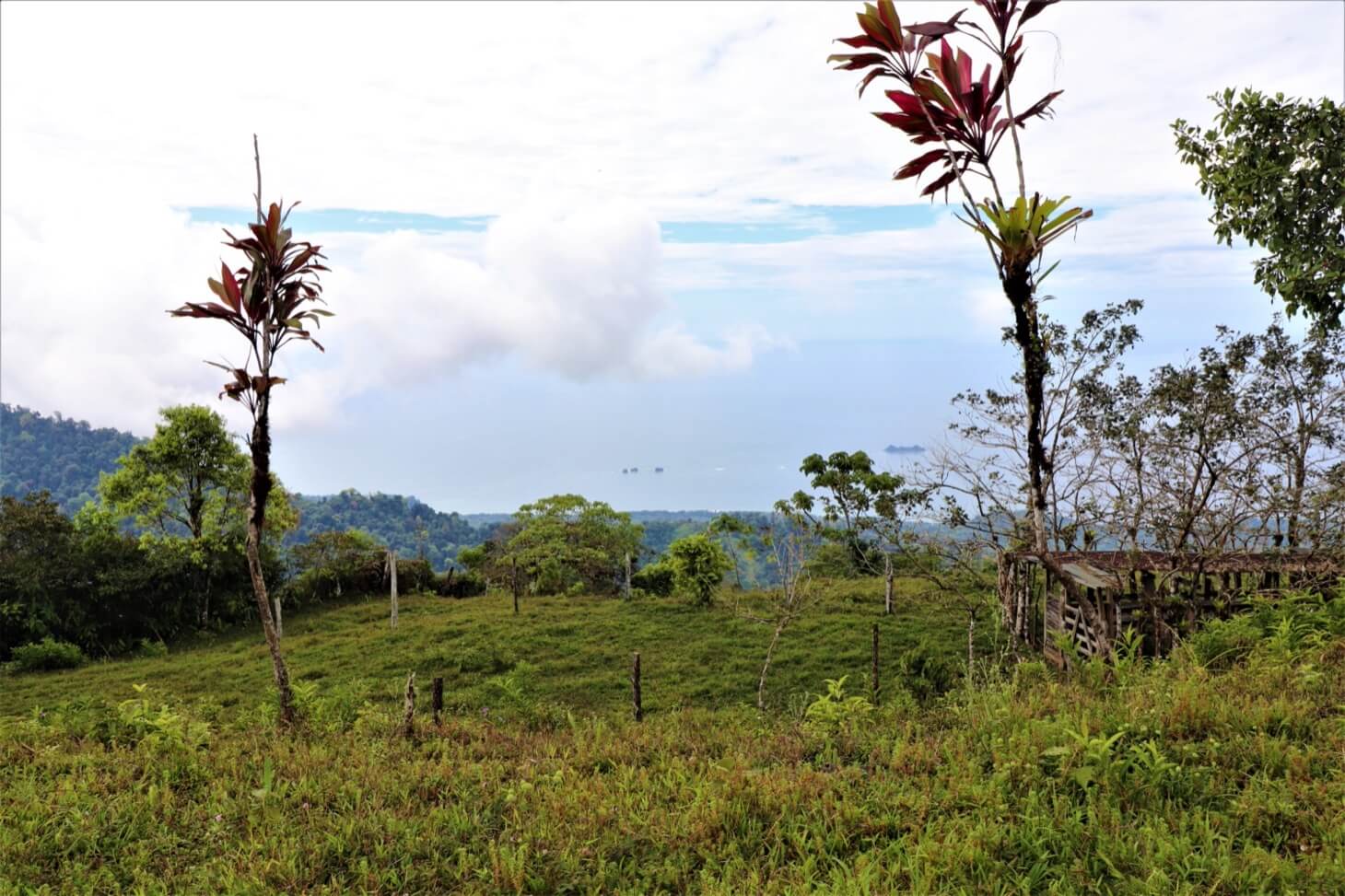 3 Spectacular Ocean View Farms in Uvita selected